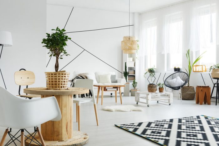 installer des plantes dans son espace