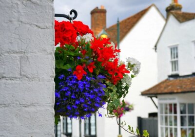 Suspension de fleurs colorées contre une façade blanche